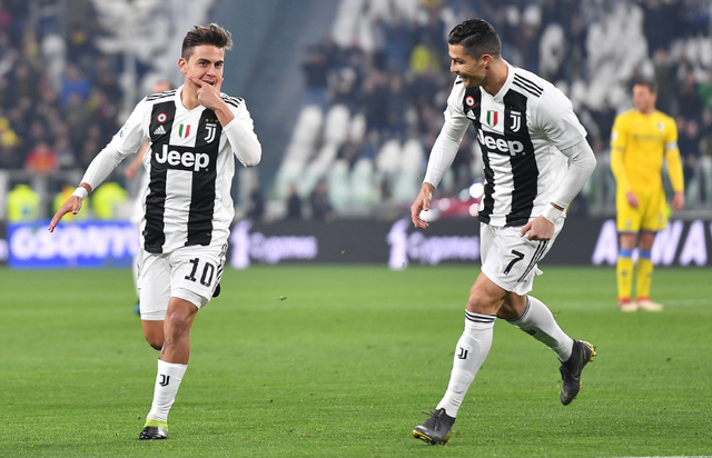 强马壮的豪 强马壮的豪